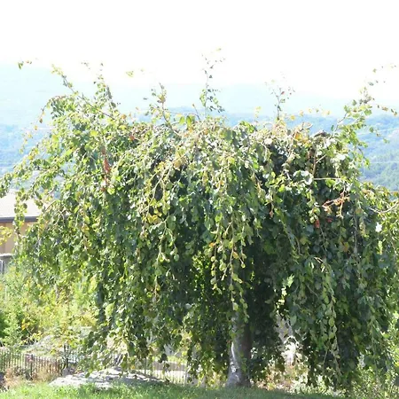 Apartamento La Casa Con Vista Di Emma *