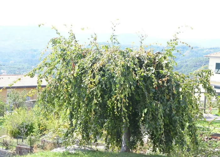 Apartmán La Casa Con Vista Di Emma *